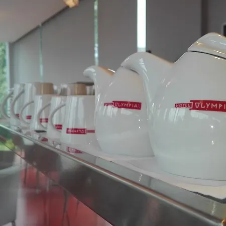 奥林匹亚酒店 科普日夫尼采